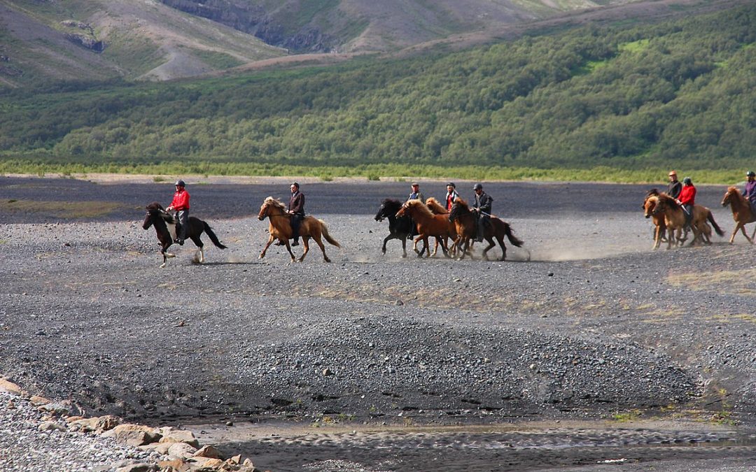 Découvrez l’Islande à cheval: Une aventure inoubliable