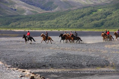 Découvrez l'Islande à cheval: Une aventure inoubliable